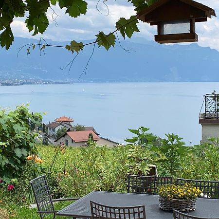 La Gremillette Gourmande Lavaux Leilighet Rivaz Eksteriør bilde