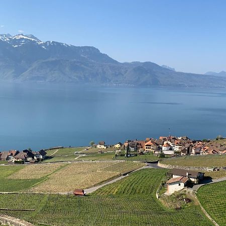 La Gremillette Gourmande Lavaux Leilighet Rivaz Eksteriør bilde