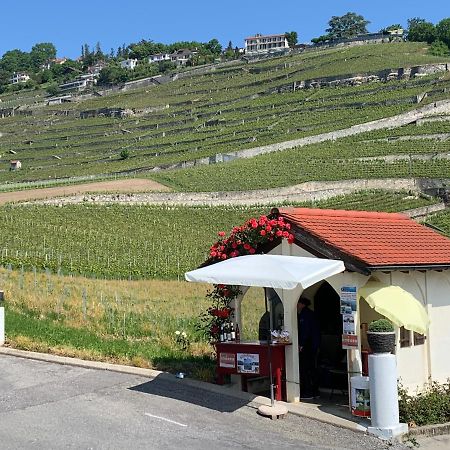 La Gremillette Gourmande Lavaux Leilighet Rivaz Eksteriør bilde