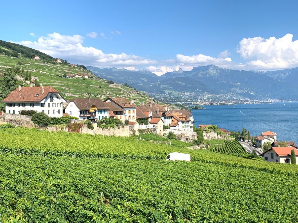 La Gremillette Gourmande Lavaux Leilighet Rivaz Eksteriør bilde