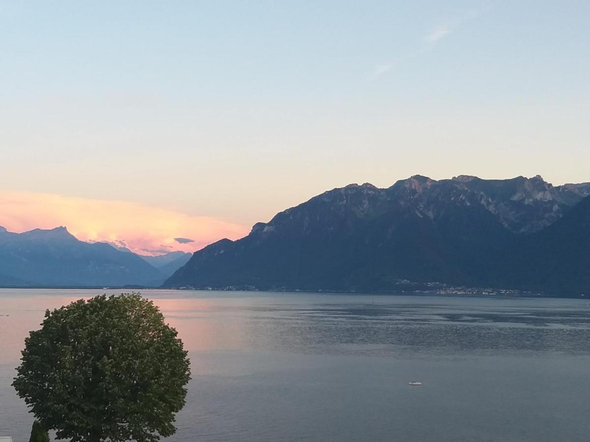 La Gremillette Gourmande Lavaux Leilighet Rivaz Eksteriør bilde