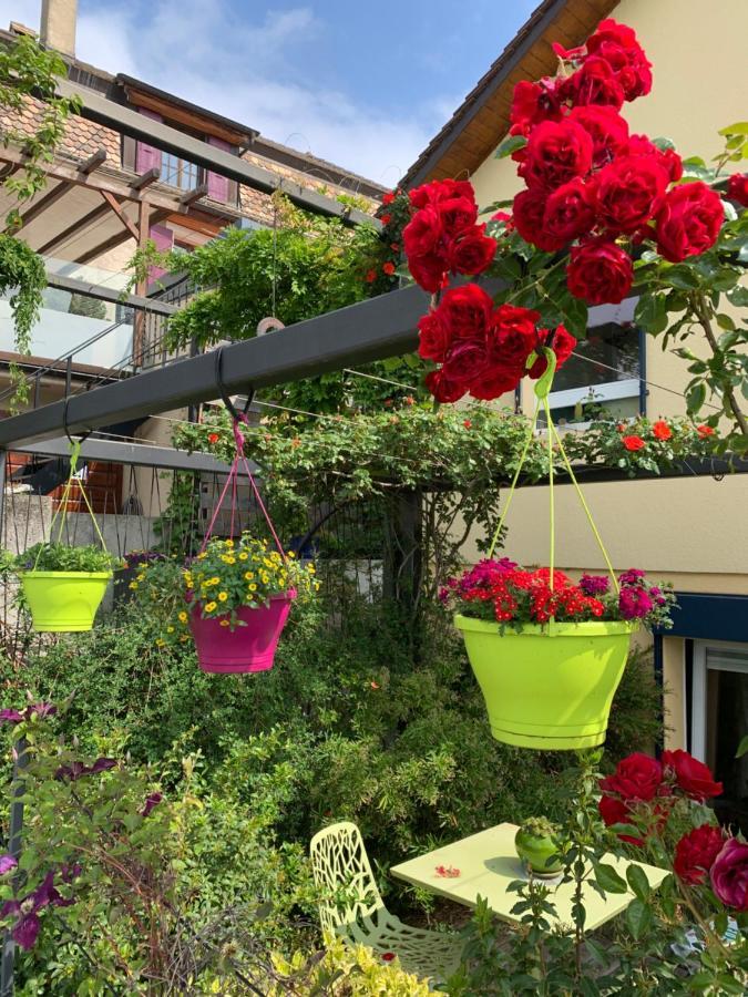 La Gremillette Gourmande Lavaux Leilighet Rivaz Eksteriør bilde