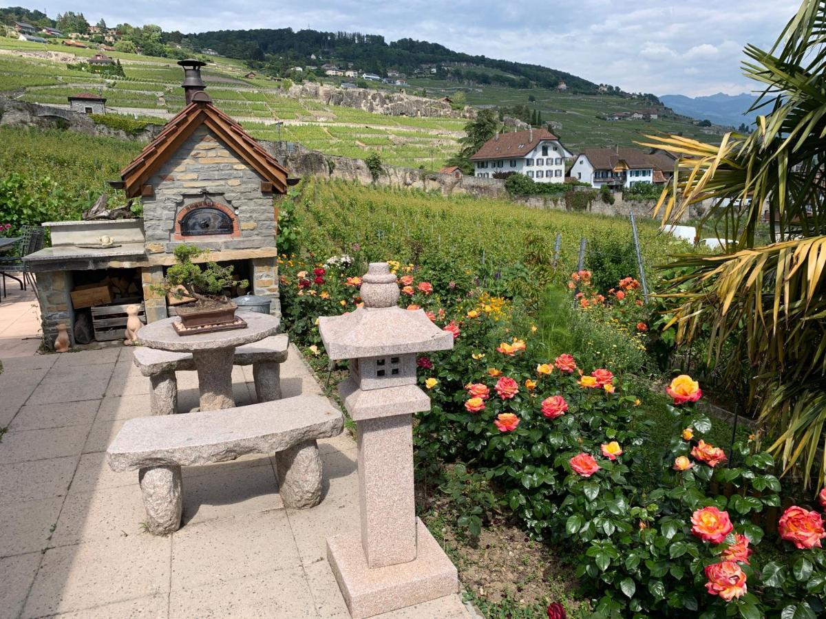 La Gremillette Gourmande Lavaux Leilighet Rivaz Eksteriør bilde