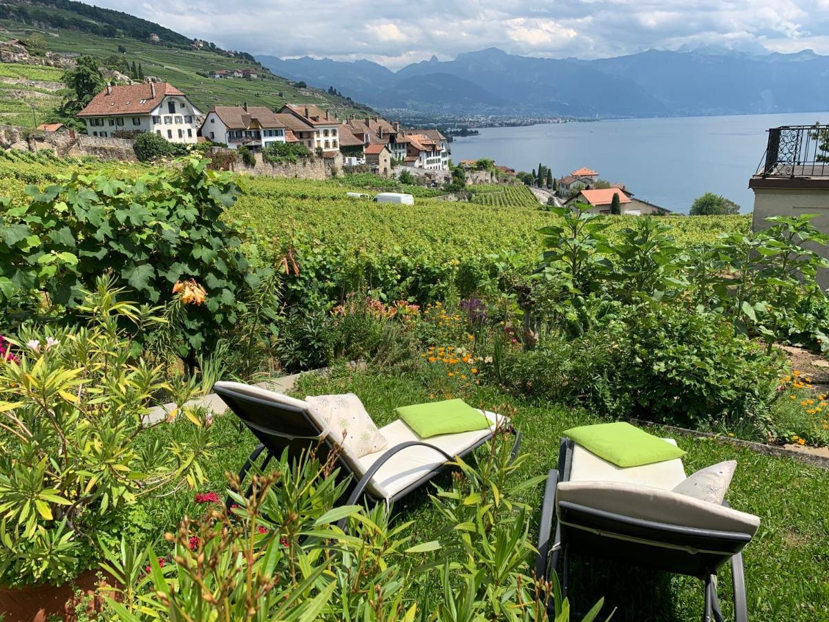 La Gremillette Gourmande Lavaux Leilighet Rivaz Eksteriør bilde