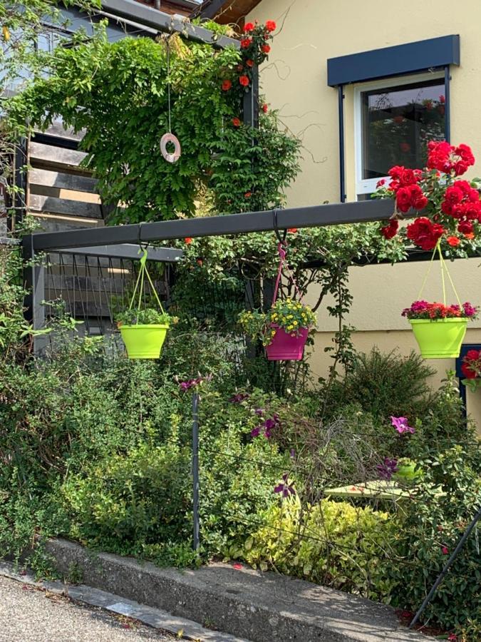 La Gremillette Gourmande Lavaux Leilighet Rivaz Eksteriør bilde