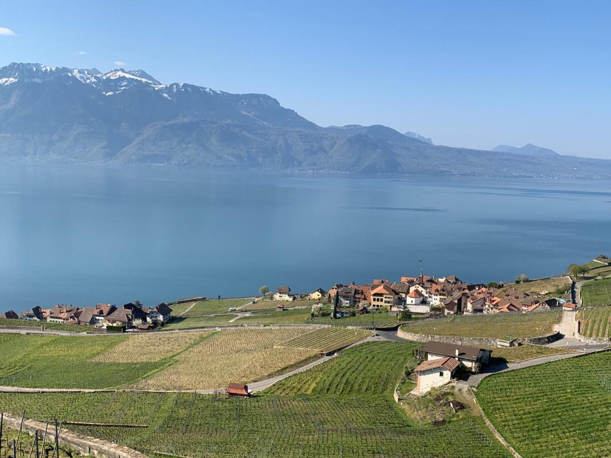 La Gremillette Gourmande Lavaux Leilighet Rivaz Eksteriør bilde