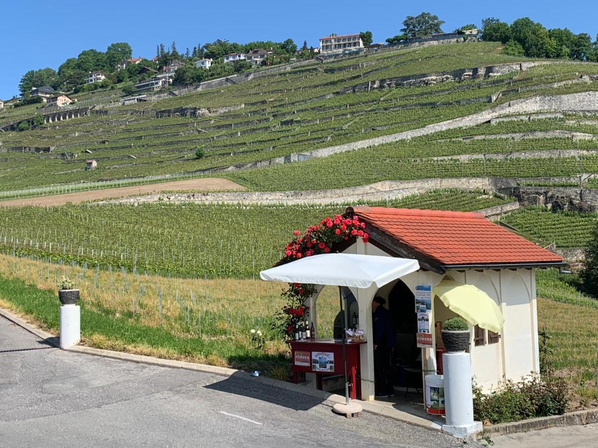 La Gremillette Gourmande Lavaux Leilighet Rivaz Eksteriør bilde