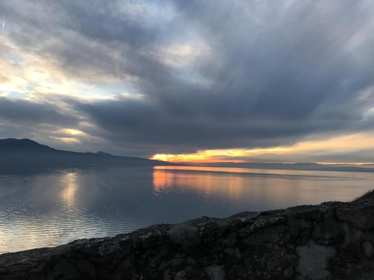 La Gremillette Gourmande Lavaux Leilighet Rivaz Eksteriør bilde