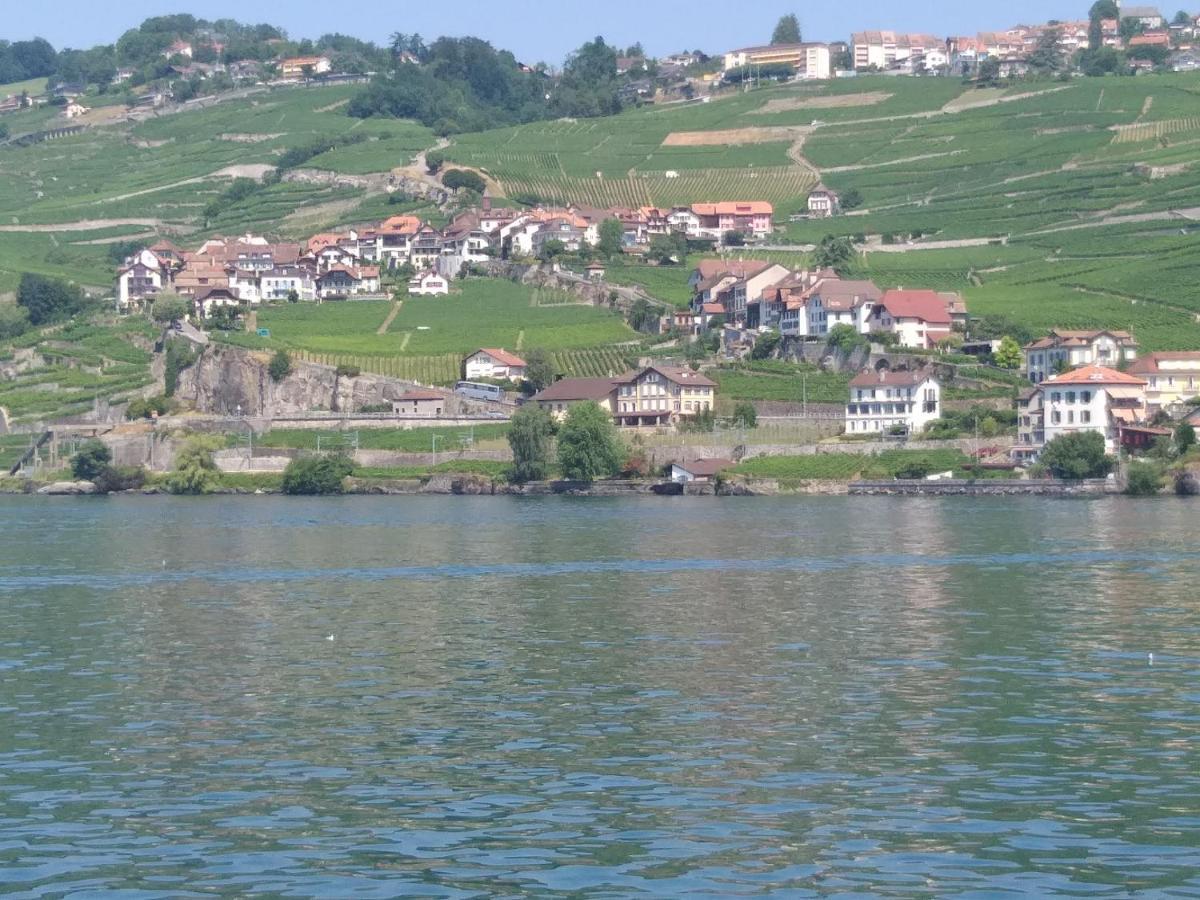 La Gremillette Gourmande Lavaux Leilighet Rivaz Eksteriør bilde