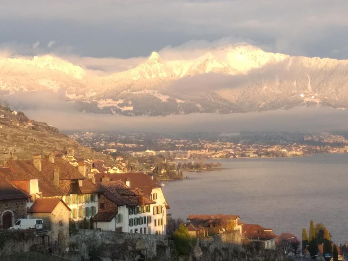 La Gremillette Gourmande Lavaux Leilighet Rivaz Eksteriør bilde