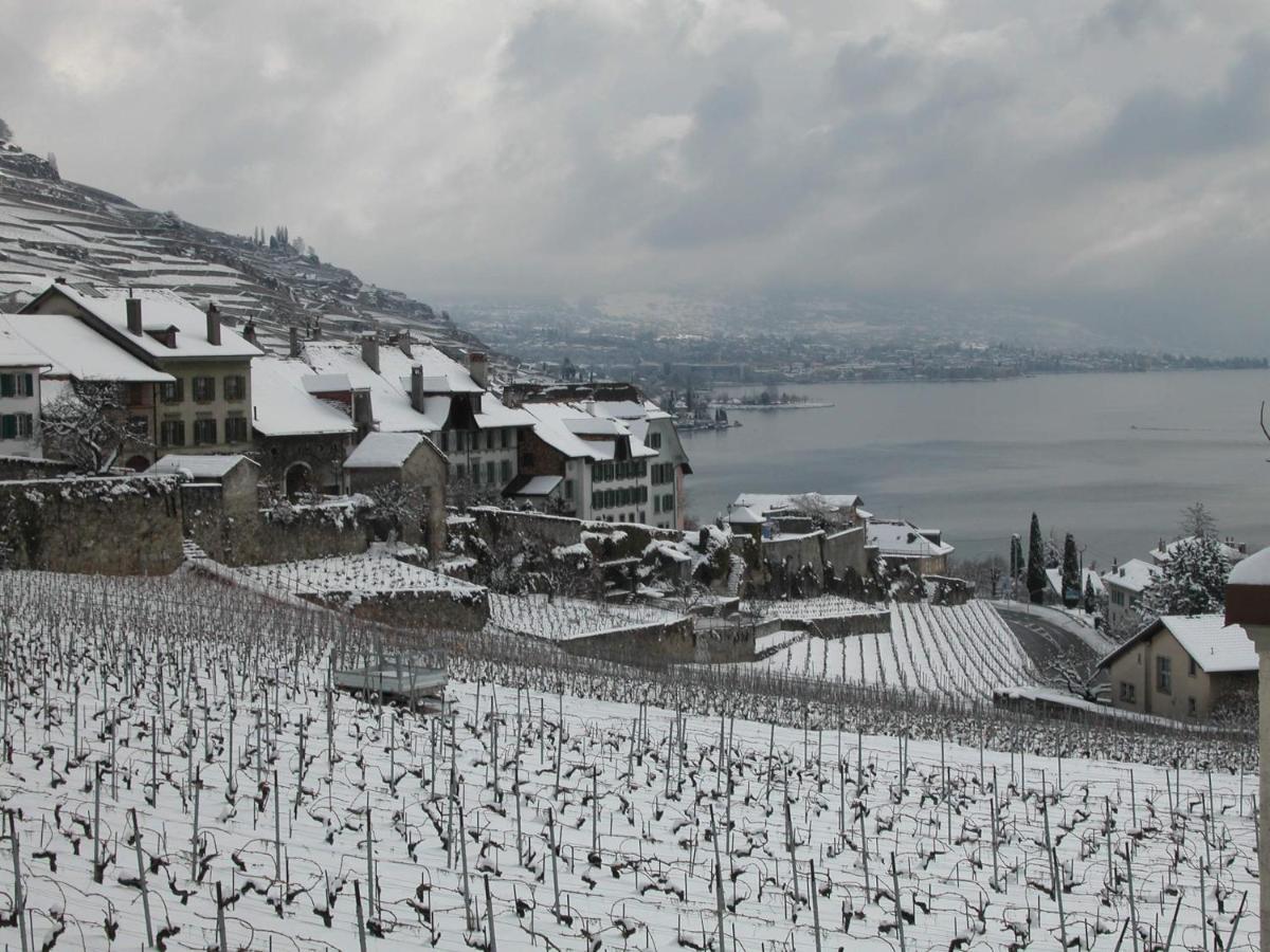 La Gremillette Gourmande Lavaux Leilighet Rivaz Eksteriør bilde